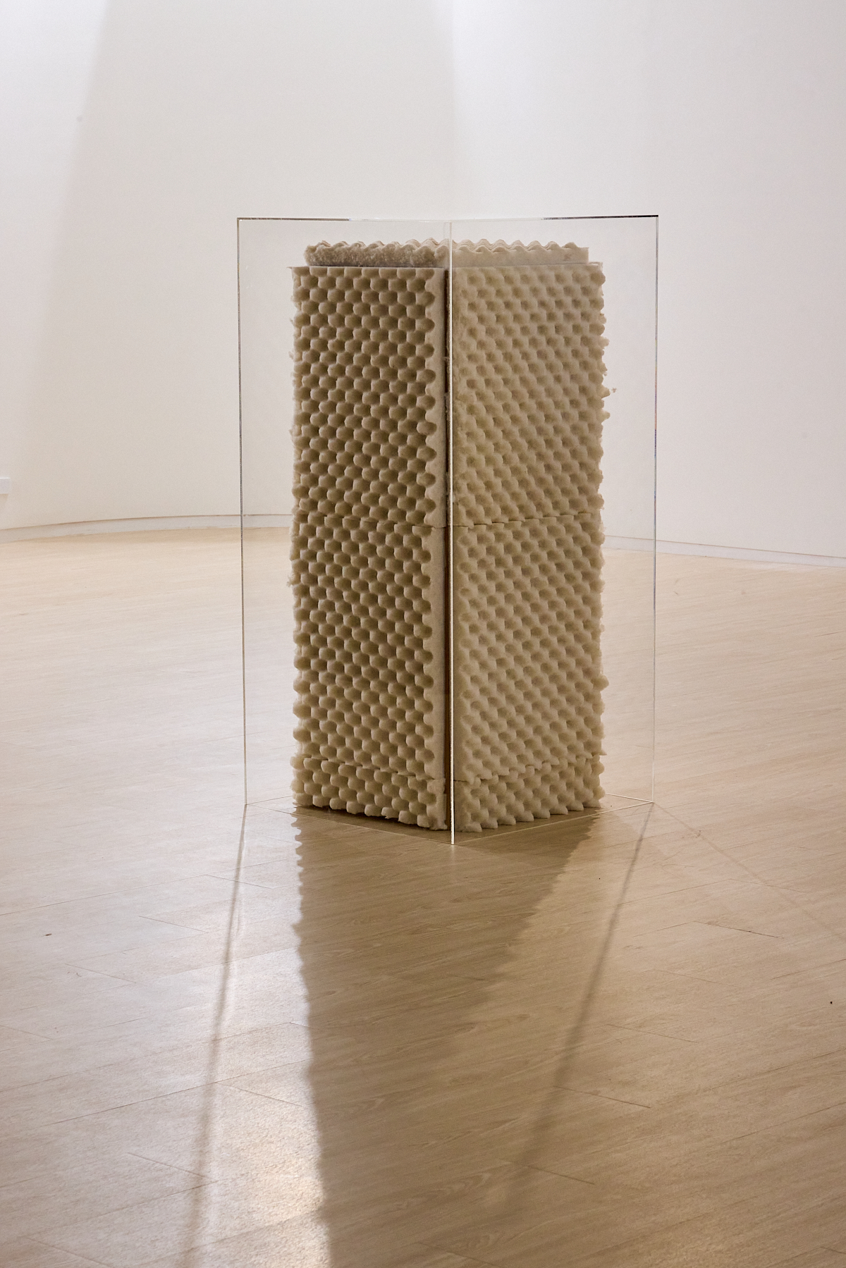 We are living in a room installation by oneg - mixed media exploring body exterior and interior duality